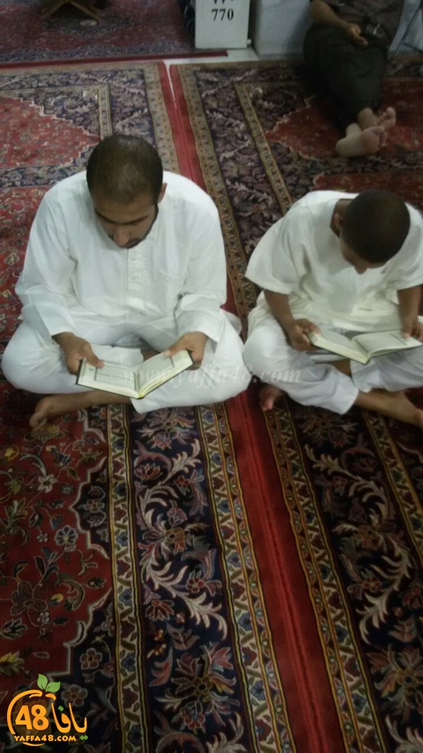 mo3tmreren nwej3 (17).JPG